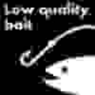 low quality bait.png